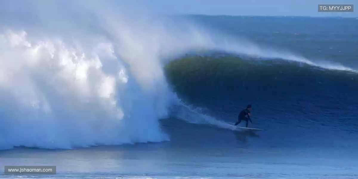 见证传奇,尽在顶级赛事!🥇🏀